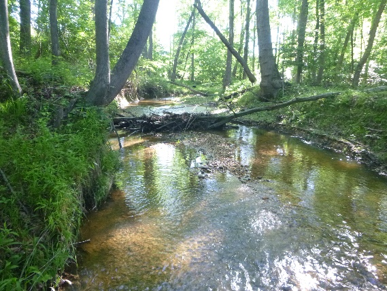 Watershed Plans and Stream Quality Image