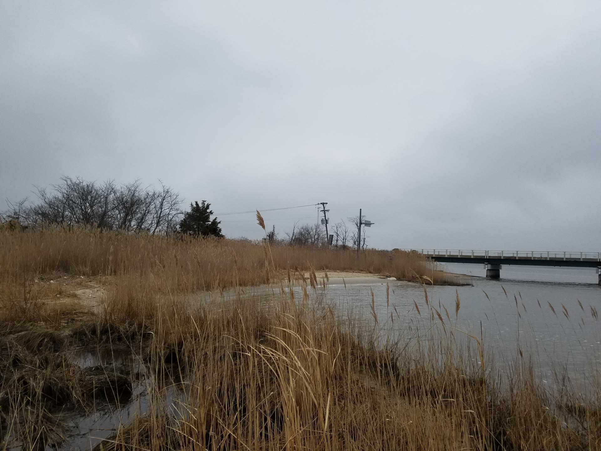 Benedict Shoreline Restoration (1)