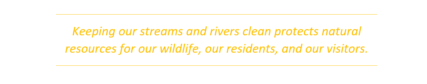 Keeping Our Streams and Rivers Clean Quote