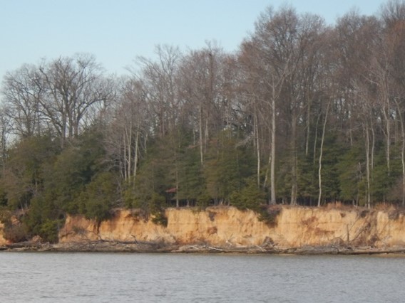 Image of a Shoreline in Charles County