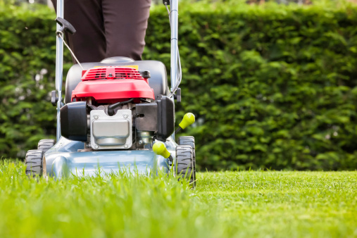 Mowing Grass Image