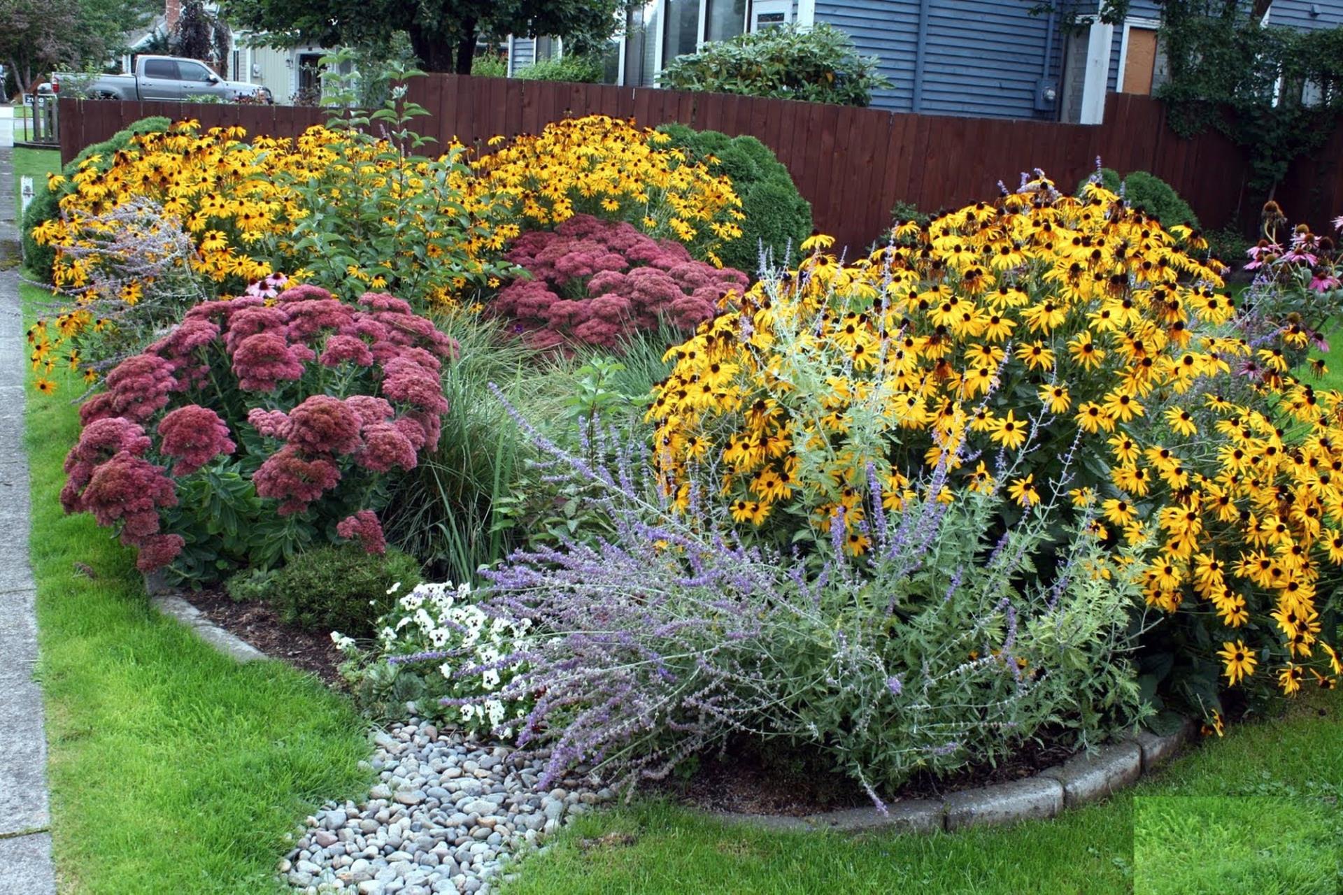 Install Rain Garden Image