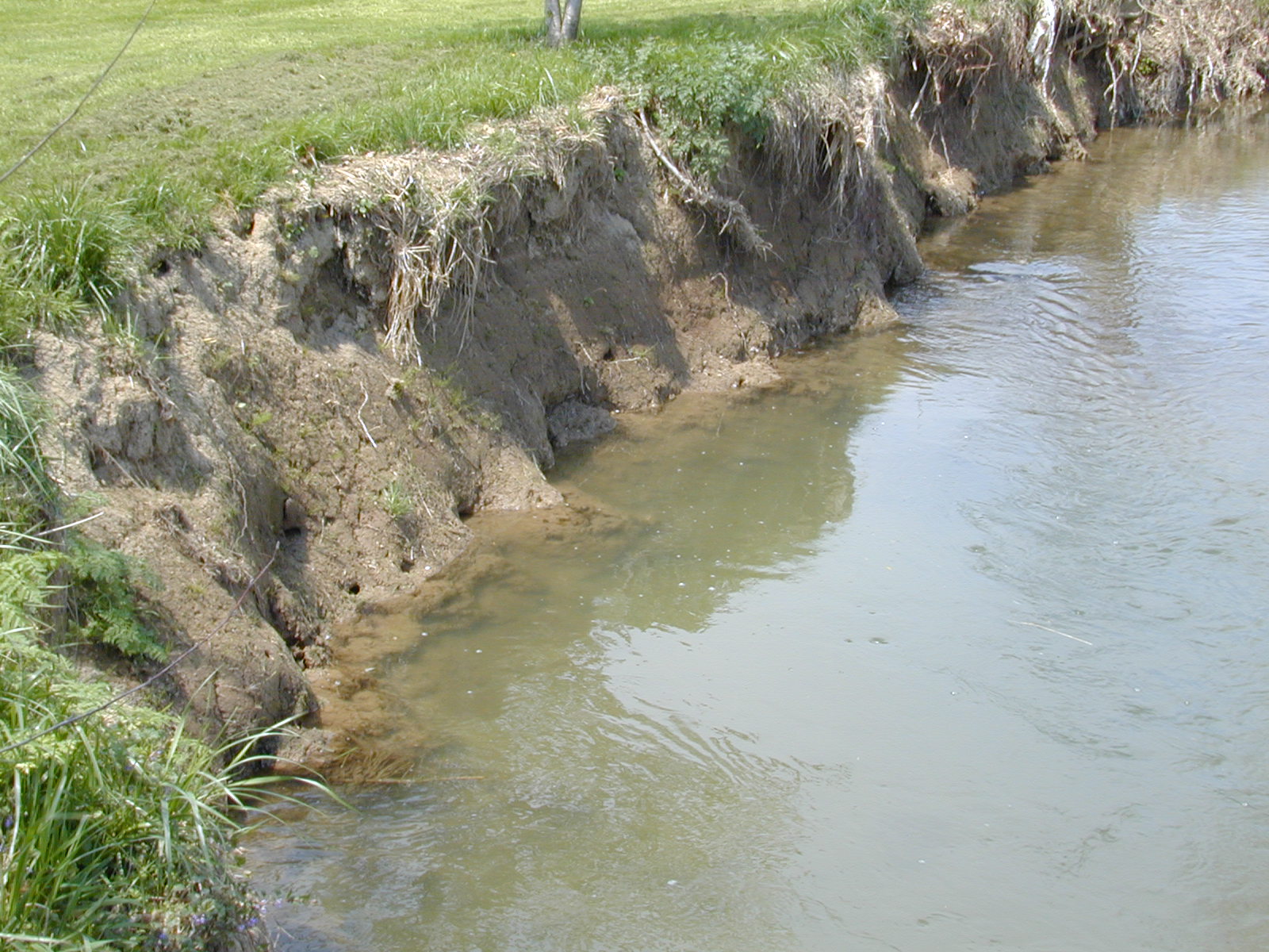 Erosion Image