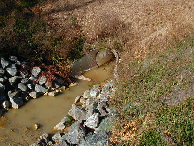 Piney Branch Image